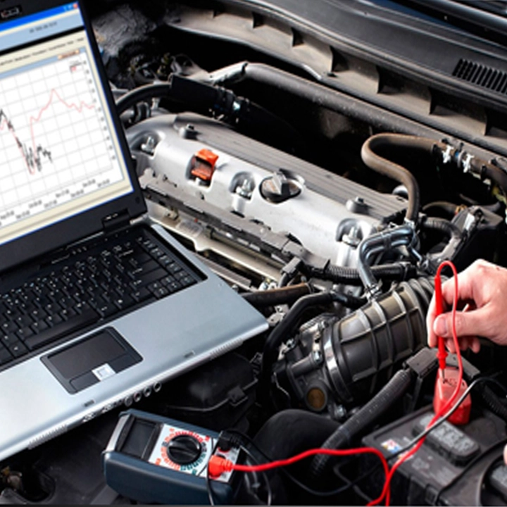 Oto Elektronik & Beyin